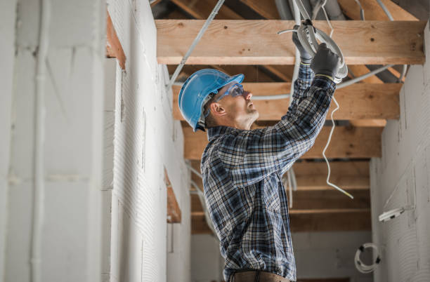 Best Home Electrical Repair  in Mendota, IL