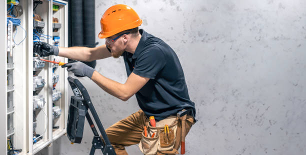 Best Electrical Upgrades for Homes  in Mendota, IL